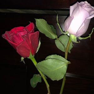 Meet your Posher, Paige